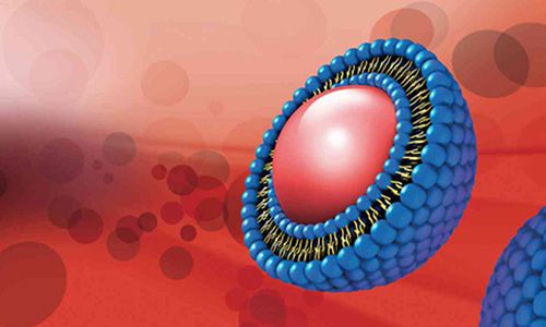 纳米粒（筹建中）