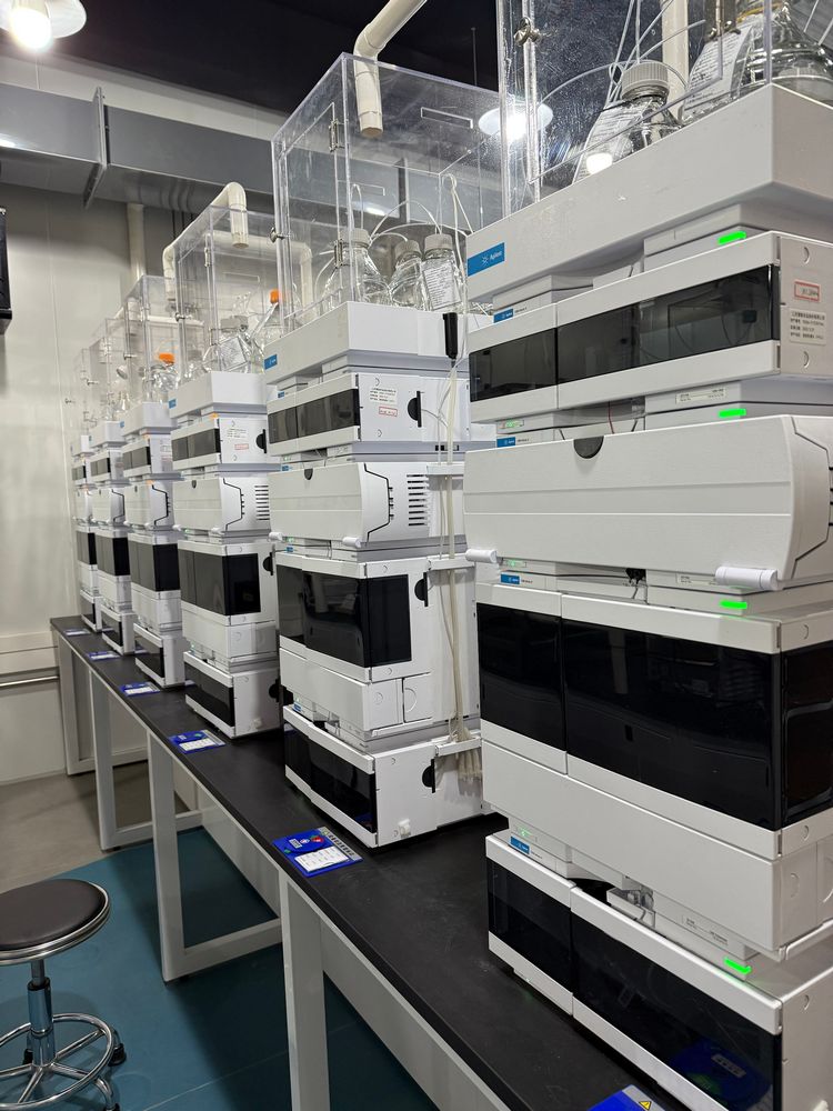 305e1a8d-66c1-4e88-bd70-d6b982079241